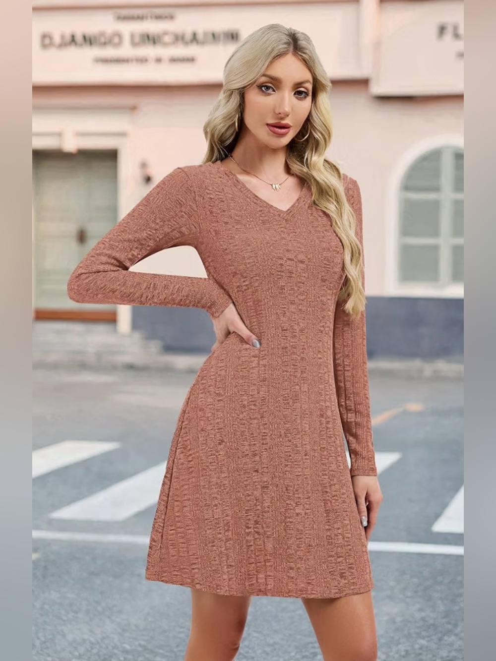 NWT Long Sleeve V-Neck Textured Swing Dress - Rose o